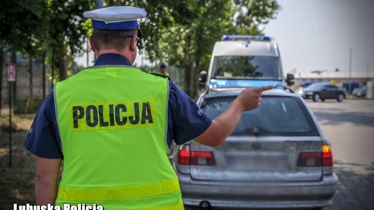 Dawniej brak OC wykrywała głównie policja. Dziś mechanizm jest inny