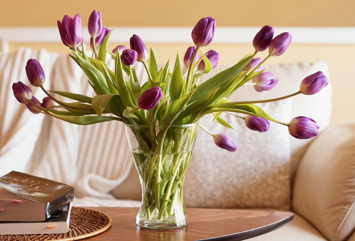 Co zrobić, kiedy tulipany w wazonie opadają? Fot. Getty Images