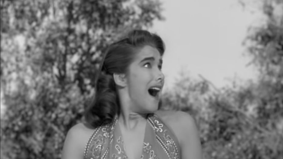 Nie żyje Julie Adams