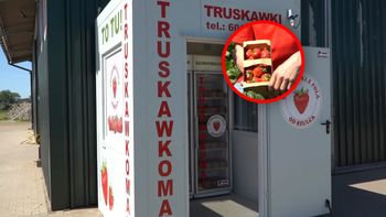 Szał na truskawki z automatu. "O 22:00 też kupują"