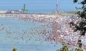 Jej filmik stał się hitem. Pokazała, co dzieje się nad polskim morzem