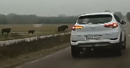 Sceny niczym z filmu na DW 685. Niesamowite wideo trafiło do sieci