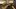 Battlefield 1943 