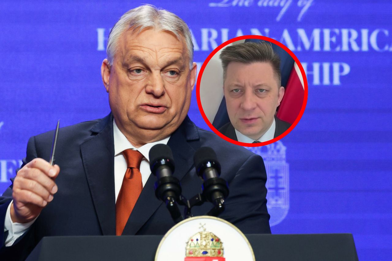 Deklaracja z PiS ws. Węgier. "Zawsze byliśmy krytyczni"