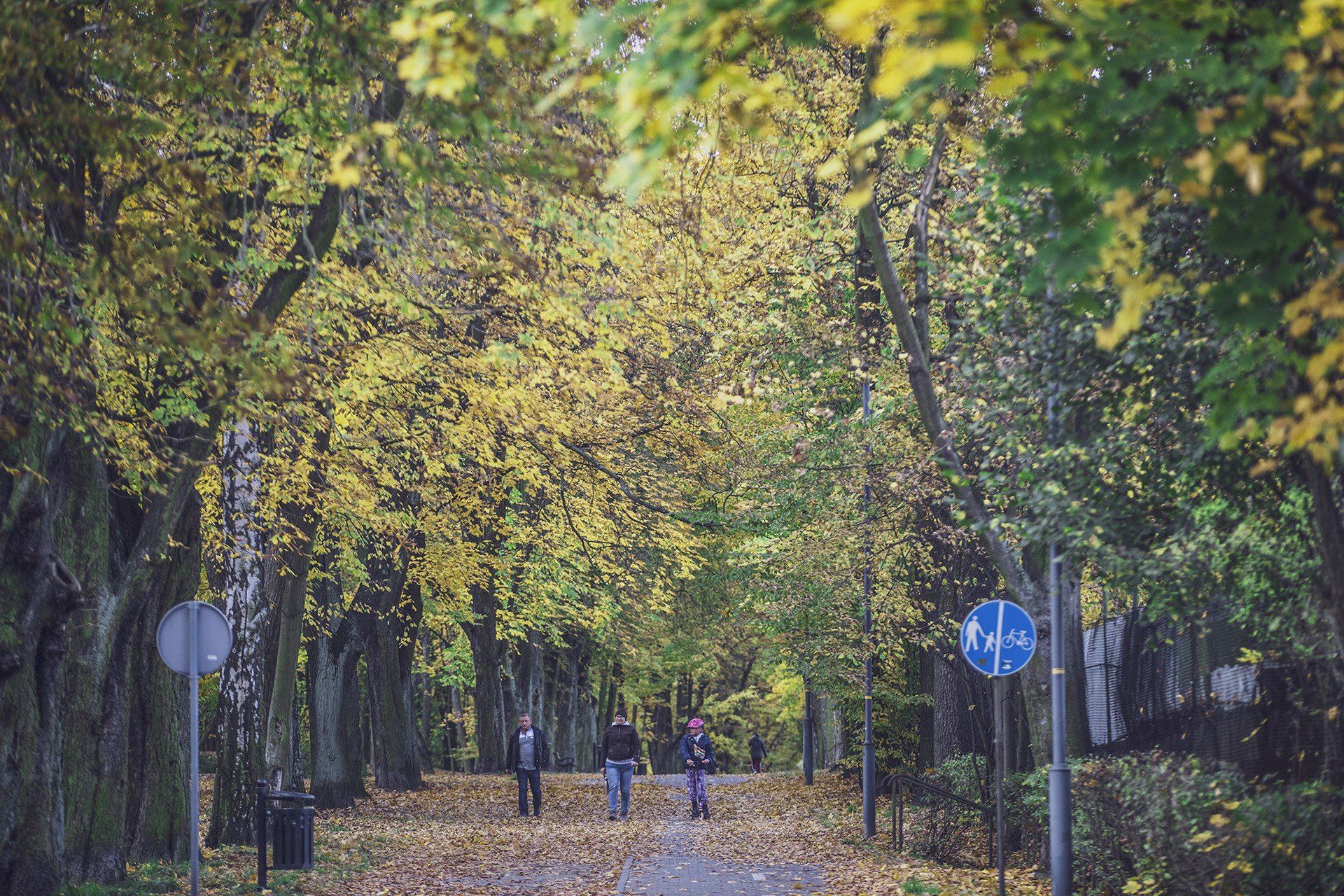 Ten park z XIX wieku na Śląsku zachwyca jesienią