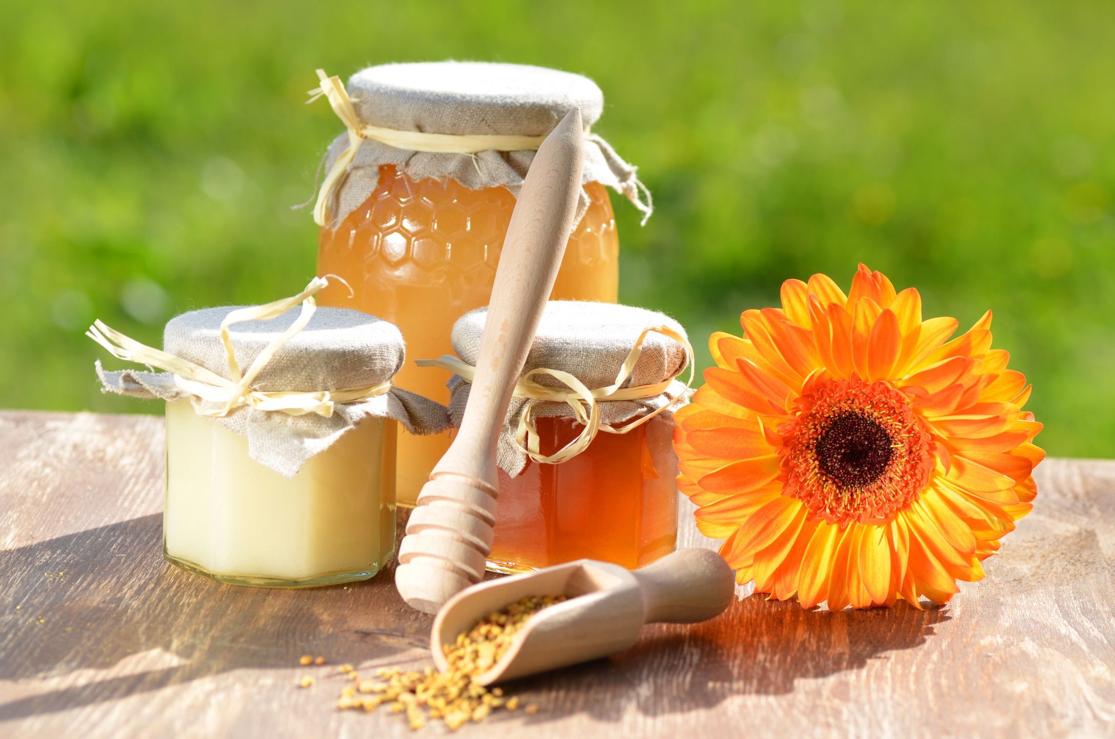 rolnictwo, pszczelarstwo, kwiat, wyżywienie, zbliżenie, deser, czerpak, ogród, zdrowie, zdrowy, miód, plaster miodu, jar, życie, naturalny, natura, nektar, żywienie, obiekt, produkt, lekarstwo, wiosna, cukier, smak, smaczny, drewno, drewniany, pasieka, opakowanie, wiosenny, ul