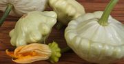 Patisony – czym są i co można z nich zrobić?