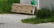 Łóżko po zmarłym sąsiedzie. Trafiło na śmietnik i wtedy się zaczęło