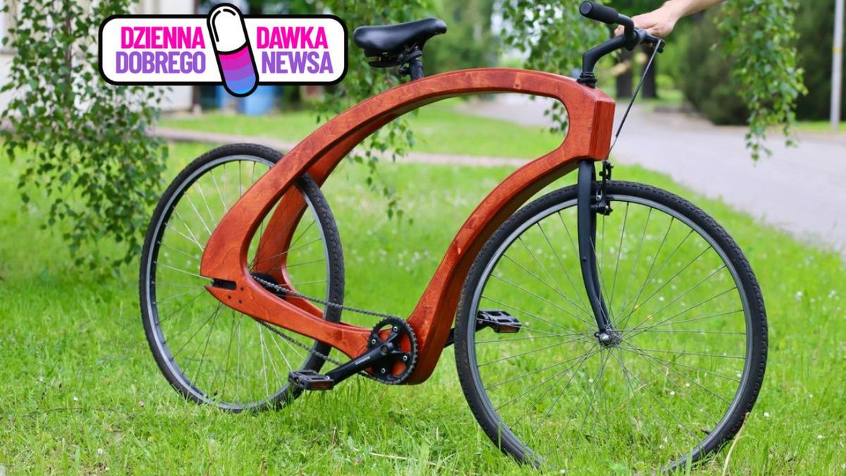 Rusza konkurs dla pasjonatów drewna i rowerów
