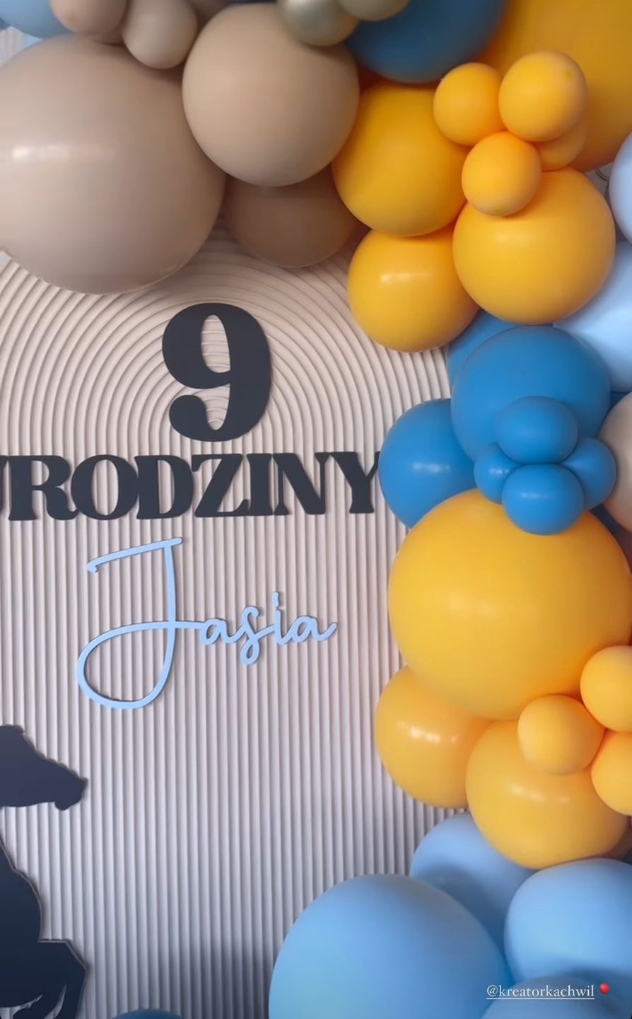 9. urodziny syna Kożuchowskiej