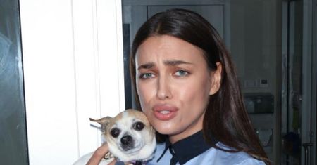 Irina promuje adopcje psów!