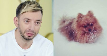 Pies Adama Konkola został ZASTRZELONY! Lider zespołu "Łzy" rozpacza: "Umierał 6 godzin. Strzał przestrzelił brzuch na wylot"