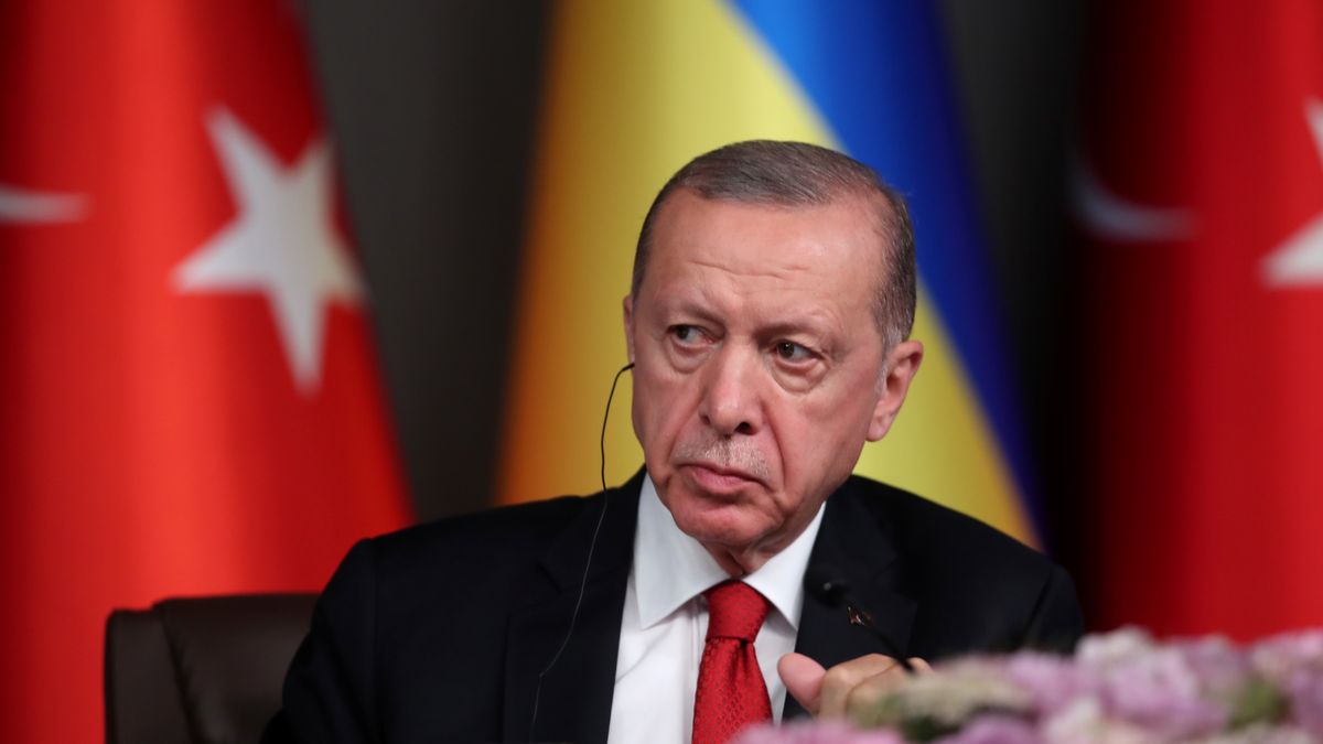 Turkey's President Recep Tayyip Erdogan attends a joint press conference with Ukraine's President Zelensky following their meeting in Istanbul, Turkey, 07 July 2023. EPA/TOLGA BOZOGLU Dostawca: PAP/EPA.
