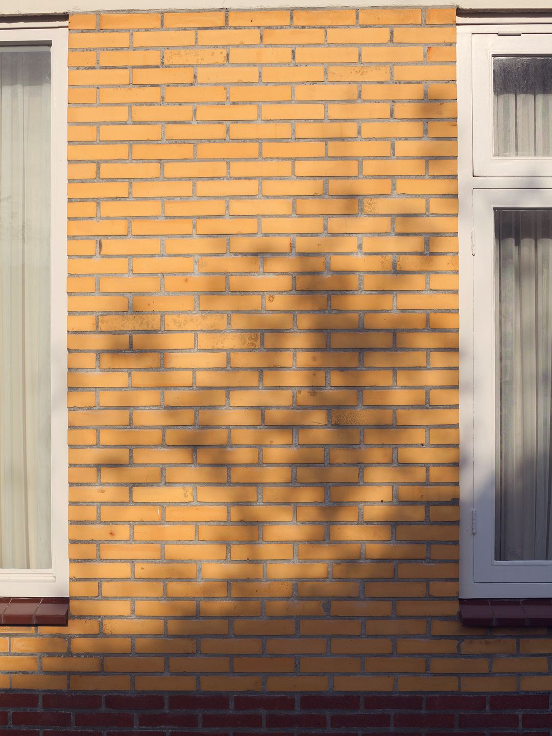 Holenderska fotografka snuje wyobrażenia o idealnym małżeństwie w nietuzinkowym projekcie 14