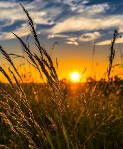 Dziś najdłuższy dzień roku. Kiedy zachód słońca? Mamy przesilenie letnie, czyli tradycyjną Noc Kupały
