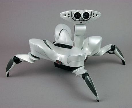 Robo-coś za 80 funtów 1