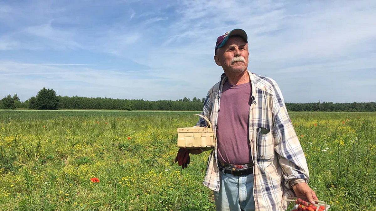 Truskawkowy Dziadek Bogumił