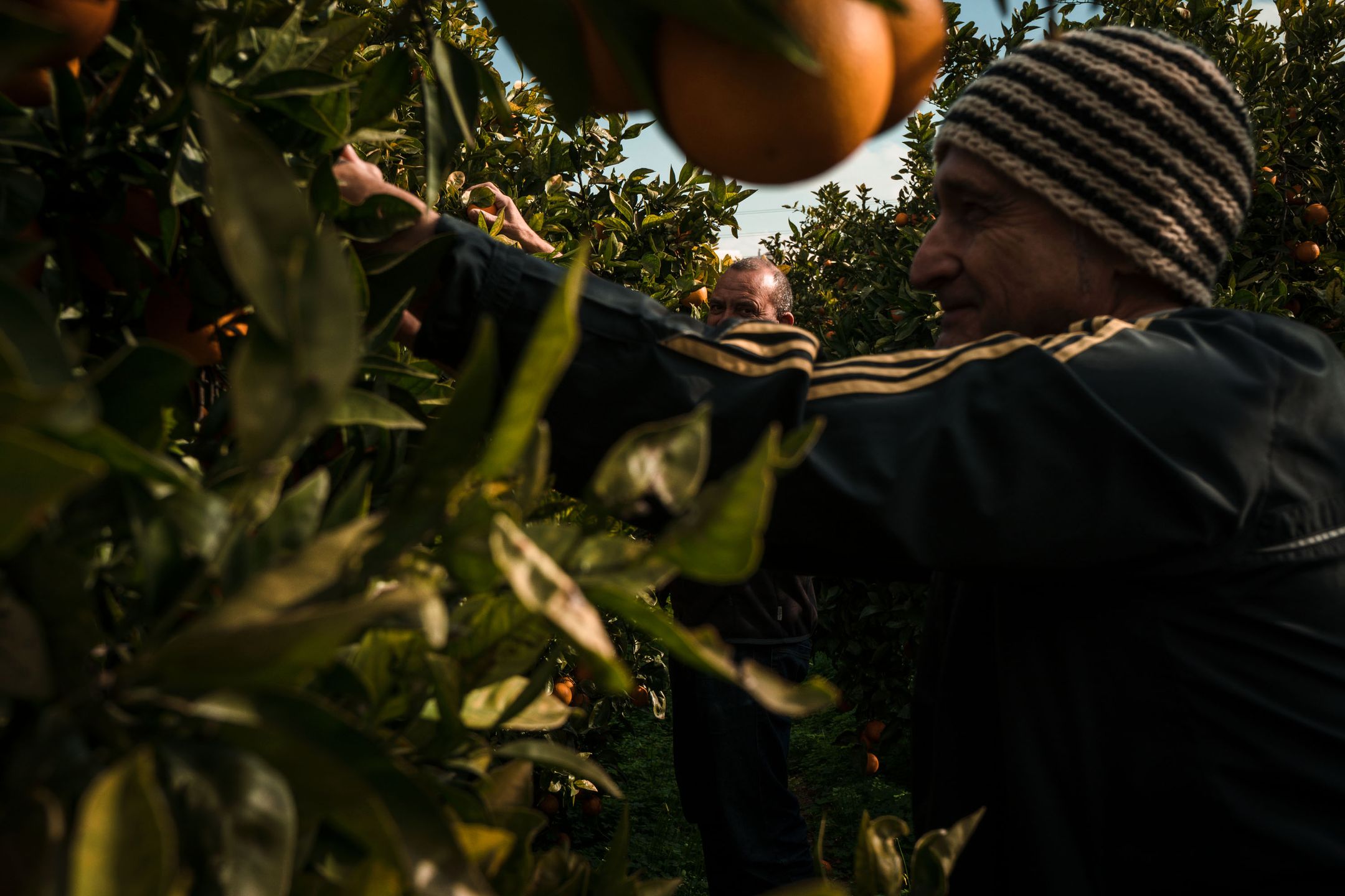 Kontrowersyjny materiał o samobójstwach wygrał Sony World Photography Awards 2019 148