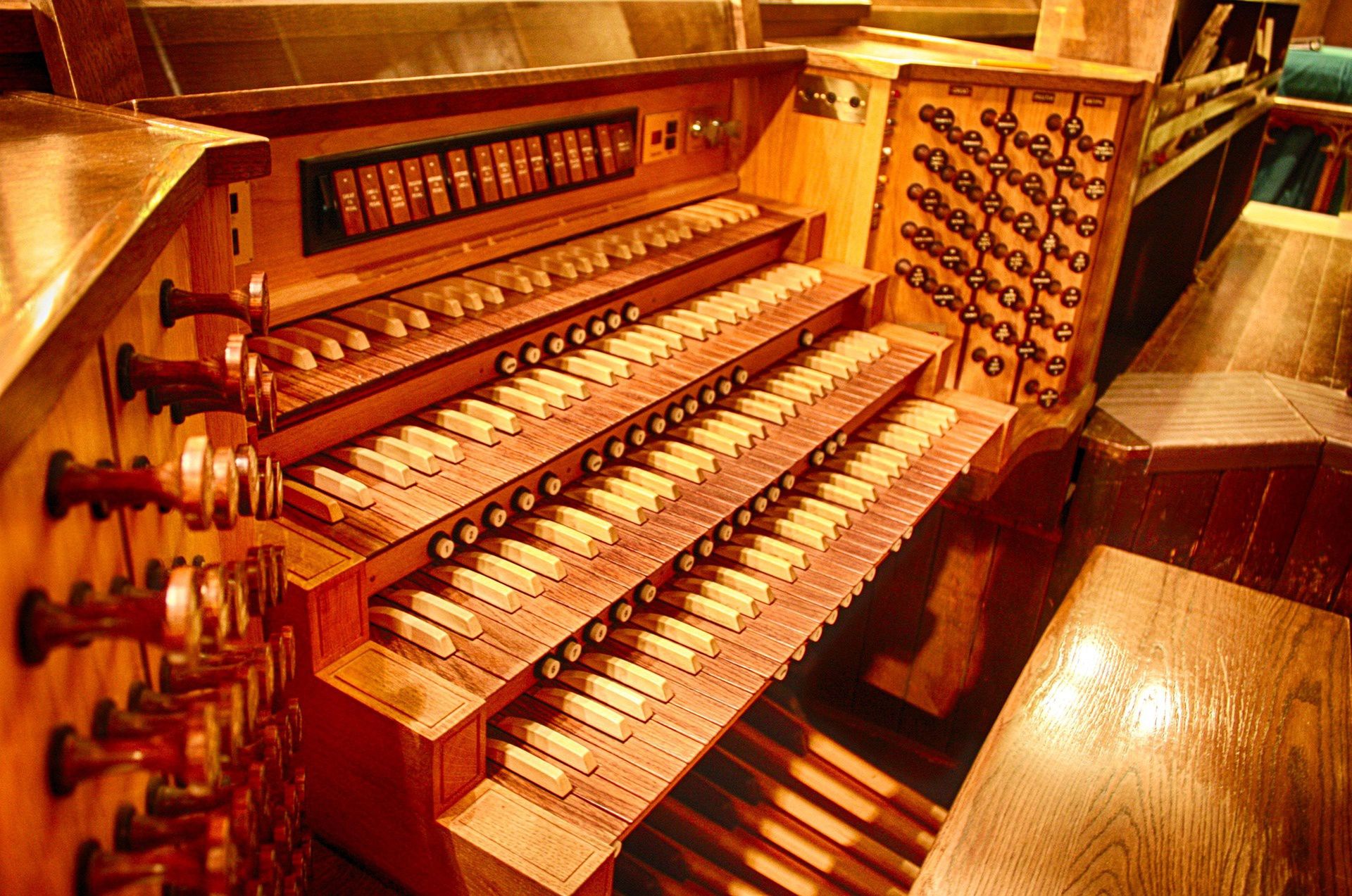 Organy koncert organowy