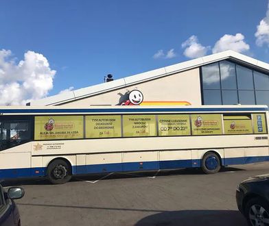 Wakacje 2020. "Biedronkobus" wraca na trasę. Część kurortów mówi pomysłowi stanowcze "nie"