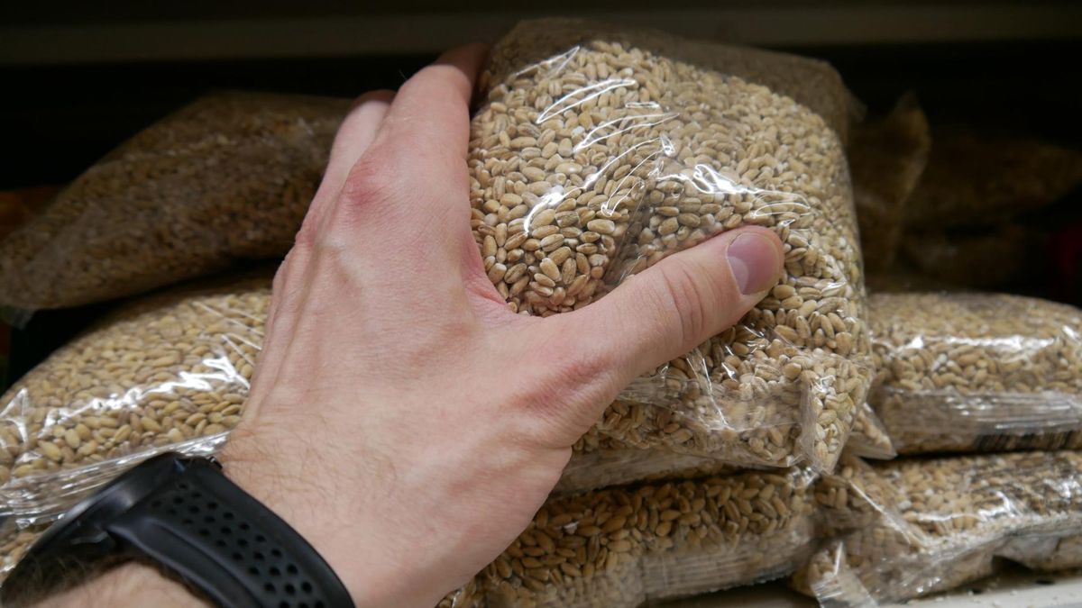 Kasze to cenne źródło energii, błonnika i składników mineralnych