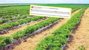 Niemcy dają pracę. Polacy zareagowali natychmiast. Wymowne