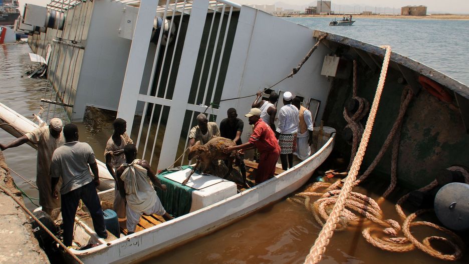 TemporarySheep are rescued after the ship Badr 1 crammed with thousands of animals, sank in Sudan's Red Sea port of Suakin, drowning most animals on board, on June 12, 2022. - The livestock vessel was exporting the animals from Sudan to Saudi Arabia when it sank after several thousand more animals were loaded on board than it was meant to carry. (Photo by AFP)-
