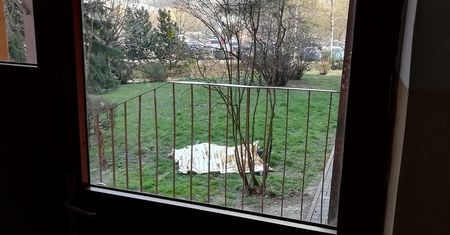 Tragedia w Lublinie. Mężczyzna wypadł z okna wieżowca na Czechowie