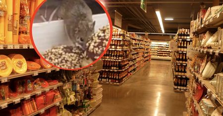 Myszy biegały po pieczywie w sieci sklepów. Jest reakcja sanepidu