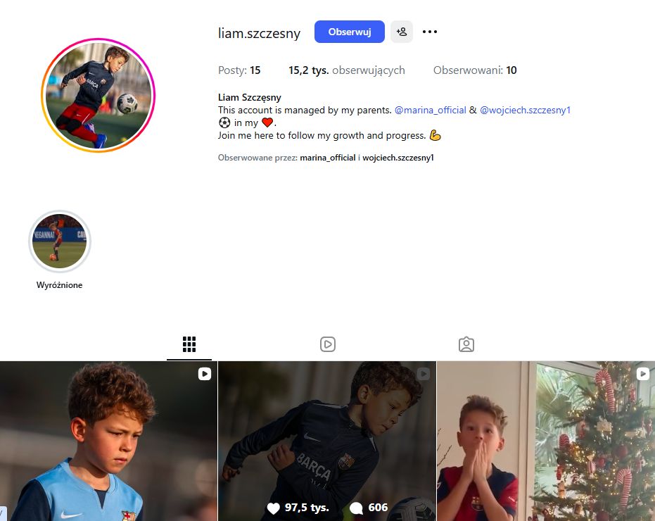 Profil Liama na Instagramie