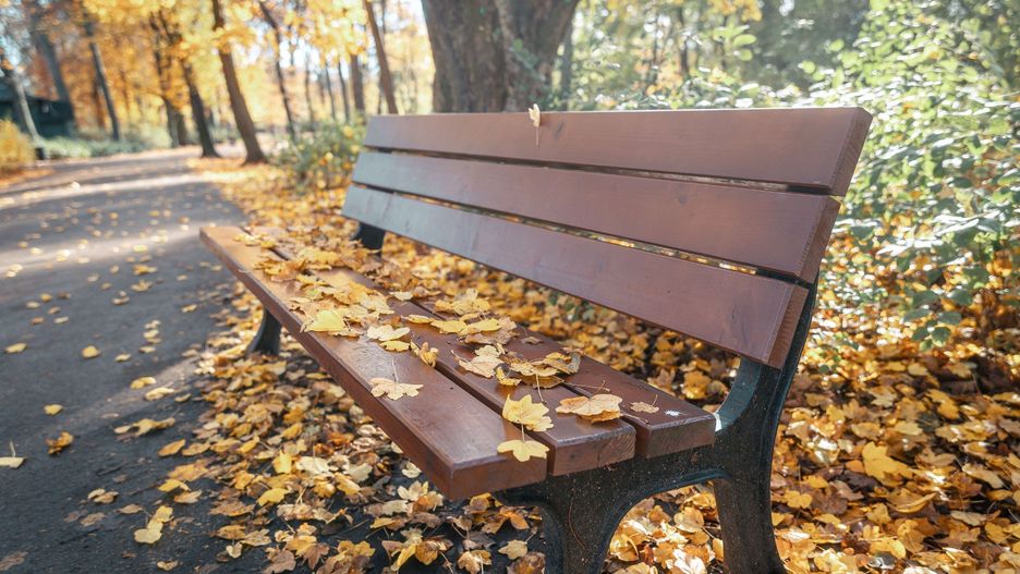 Złota Jesień w Parku Sołackim