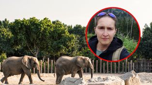 Pracuje z największymi zwierzętami świata. "Zajęcie wyjątkowe i nieprzewidywalne"