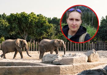 Pracuje z największymi zwierzętami świata. "Zajęcie wyjątkowe i nieprzewidywalne"