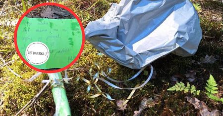 Przeleciał 250 kilometrów, razem z nim niezwykły list. Co za odkrycie!