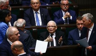 PiS wyrzuci "zdrajców" i rozliczy szefów regionów. Kaczyński szacuje skalę porażek
