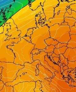 Takiej pogody w lutym jeszcze nie było. Idzie duża zmiana