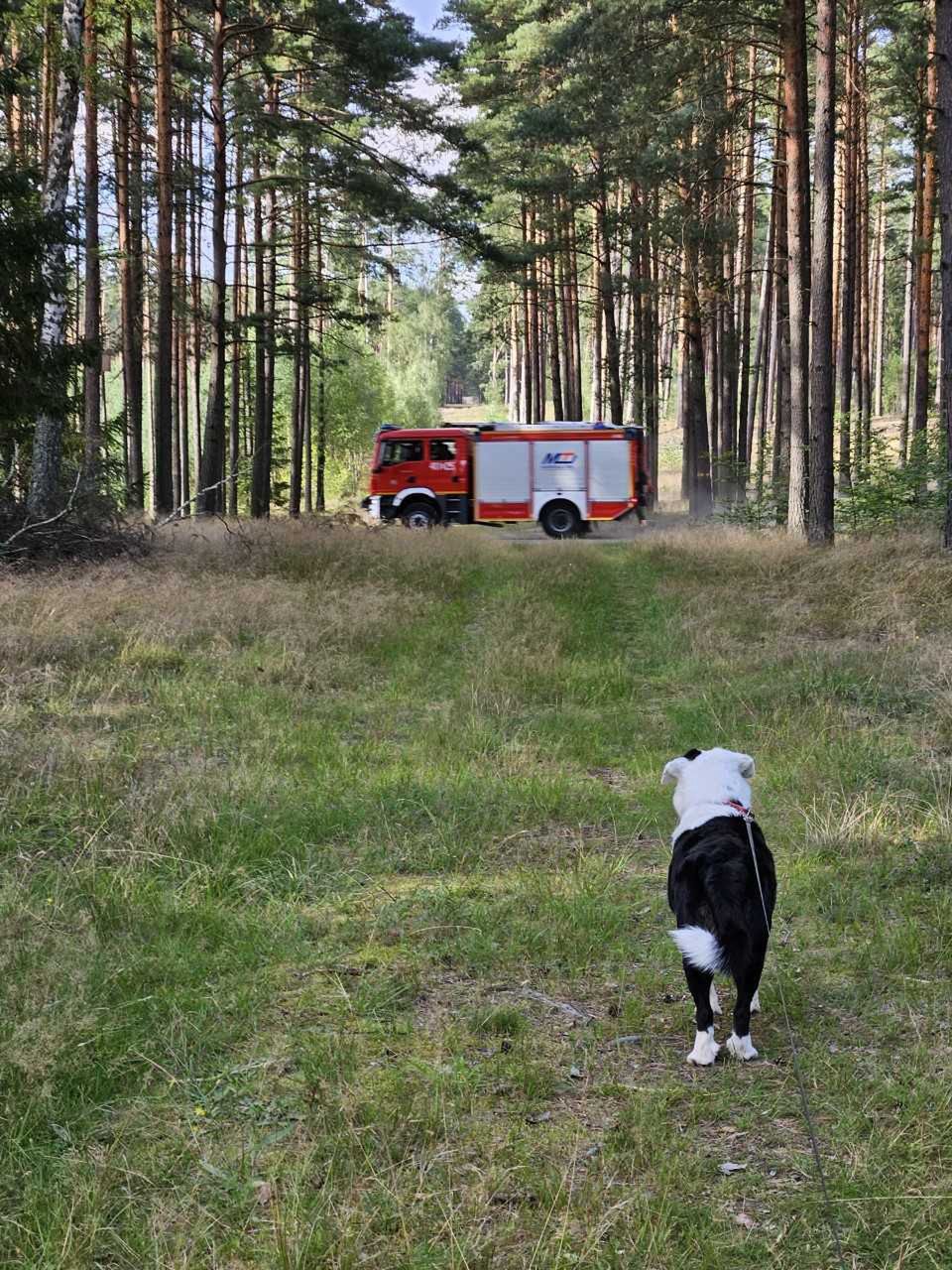 Samochody straży pożarnej i innych służb ratunkowych nie są w tej okolicy normą