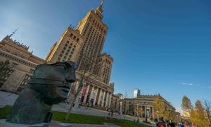 Niemieckie media piszą o Polsce. "Mogliby się uczyć"