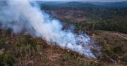 Naukowcy ostrzegają: Amazonia może przyczynić się do kryzysu klimatycznego