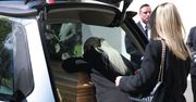 Pogrzeb Litewki w Sosnowcu. Poruszające pożegnanie przed kościołem