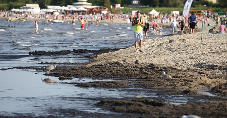 Sinice w Bałtyku. Sanepid zamyka nadmorskie kąpieliska