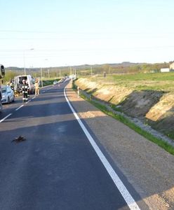 Motocyklista ciężko ranny w wypadku. Winna... kuropatwa