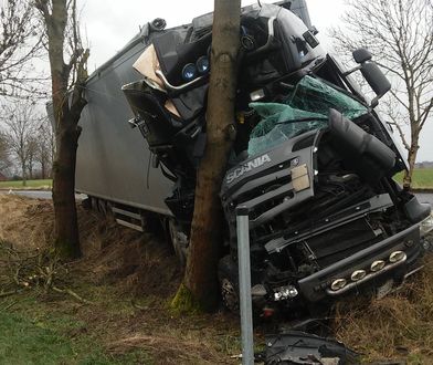 Zachodniopomorskie. Tir uciekał przed sarną. Roztrzaskał się o drzewo