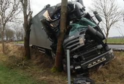 Zachodniopomorskie. Tir uciekał przed sarną. Roztrzaskał się o drzewo