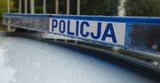 Uciekał przed policją, zatrzymał się na drzewie