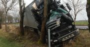 Zachodniopomorskie. Tir uciekał przed sarną. Roztrzaskał się o drzewo