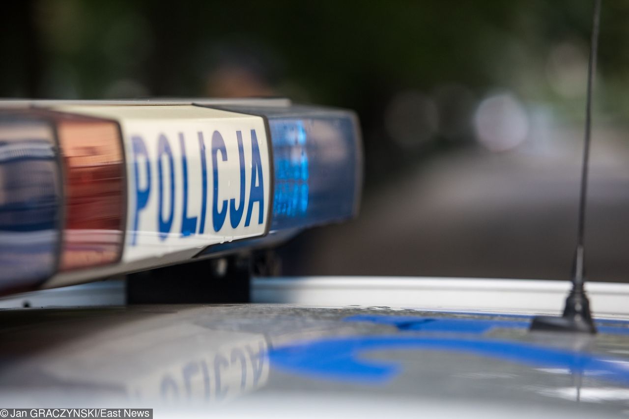 Groźnie na drogach. Polo roztrzaskane na drzewie, kierowca zmarł 