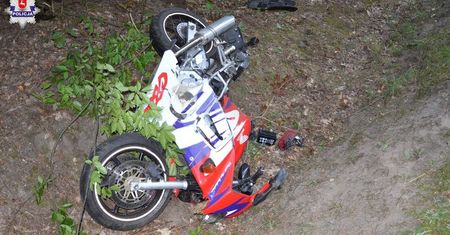 Lubelskie: Motocyklista zderzył się z łosiem. 21-latek nie żyje