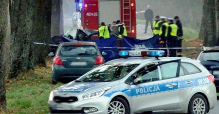 Tragedia przez jelenia. Zabity i 5 rannych pod Wrocławiem