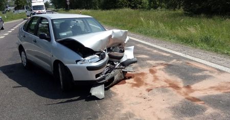 Łoś wbiegł na drogę. Efekt: trzy zdewastowane auta i ranni